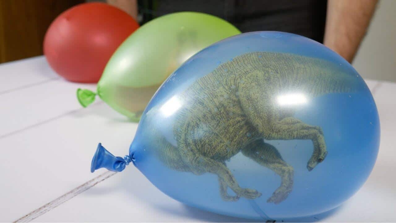 there are some objects like dinosaur and water in colorful balloons