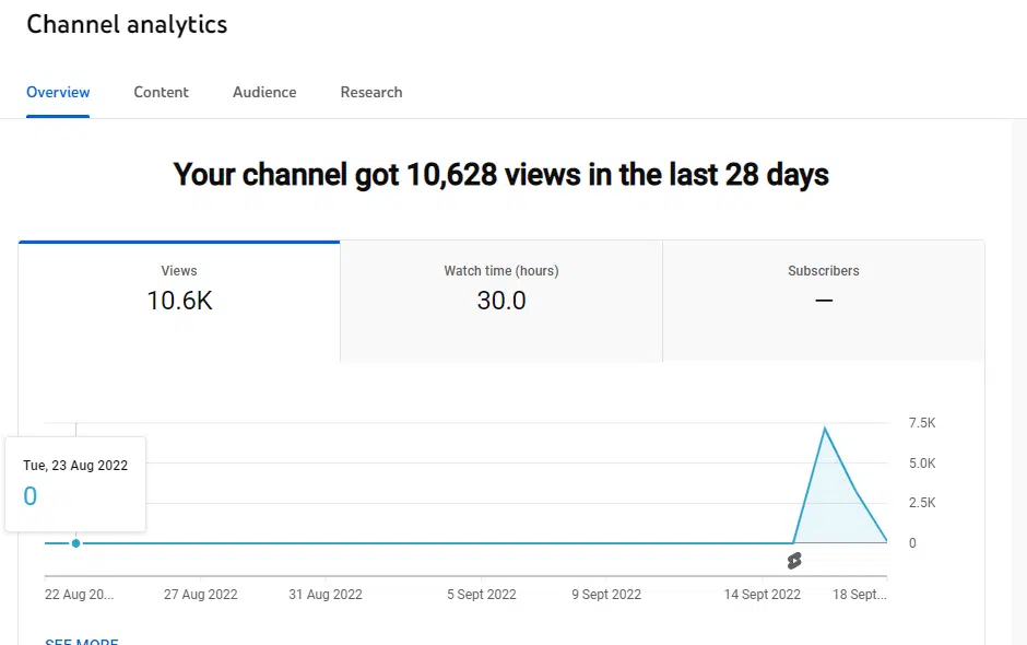 The overview report from YouTube channel analytics.