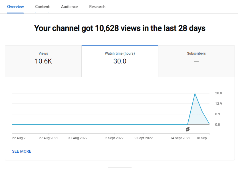 The graph of watch time reporting from your YouTube channel.
