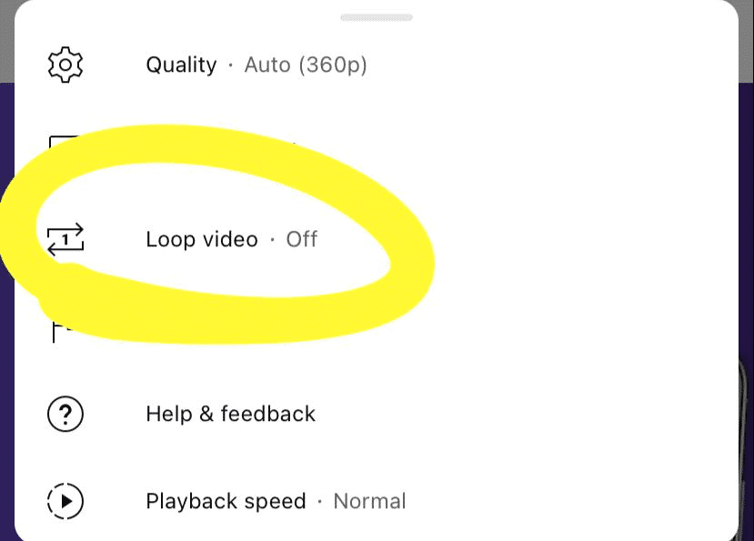 "Loop video" option in a YouTube video settings for iOS app.