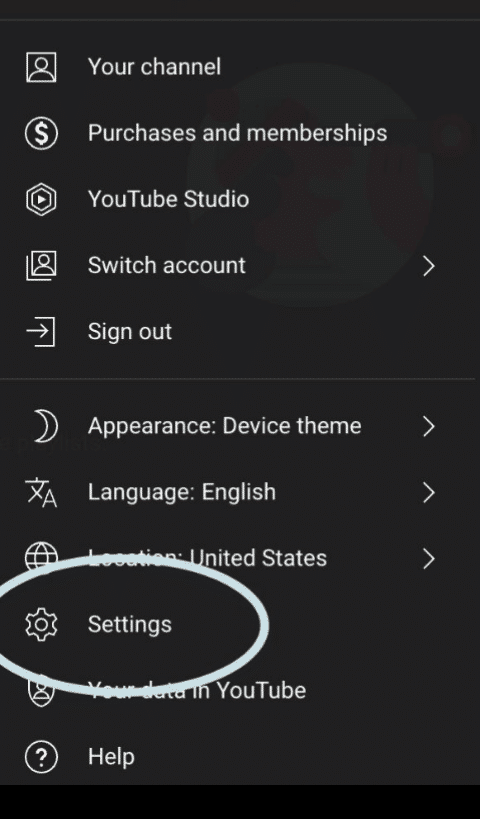 Sign in to YouTube Studio and click 'Settings'.